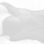 erotic massage MODELS